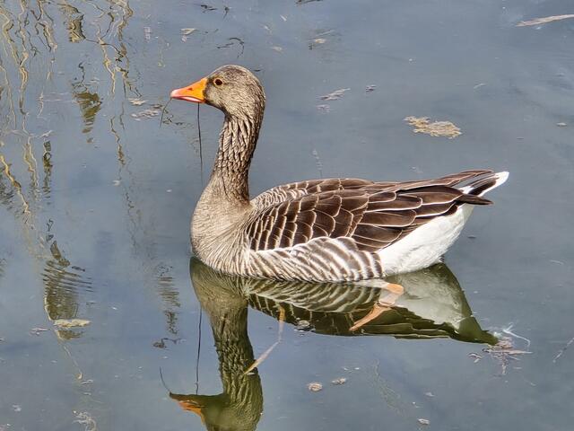 Foto: Heidrun Rosenberger