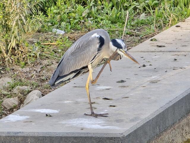 Foto: Heidrun Rosenberger
