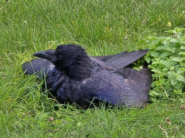 Foto: Heidrun Rosenberger