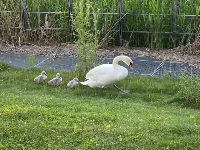 Foto: Heidrun Rosenberger