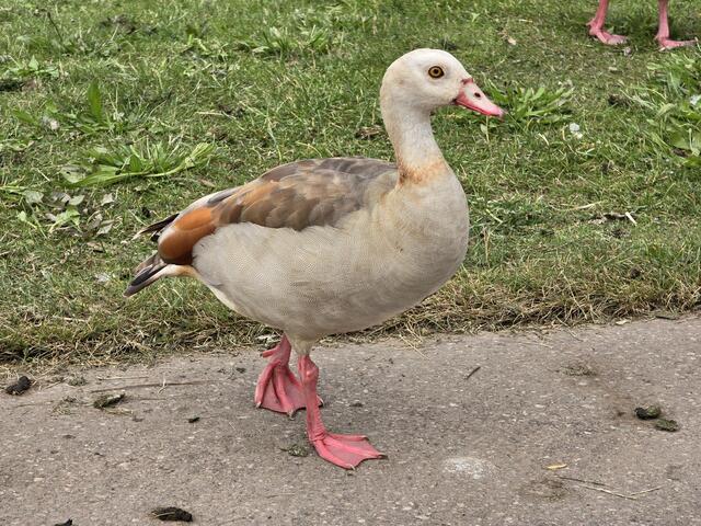 Foto: Heidrun Rosenberger