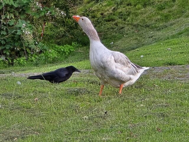 Foto: Heidrun Rosenberger
