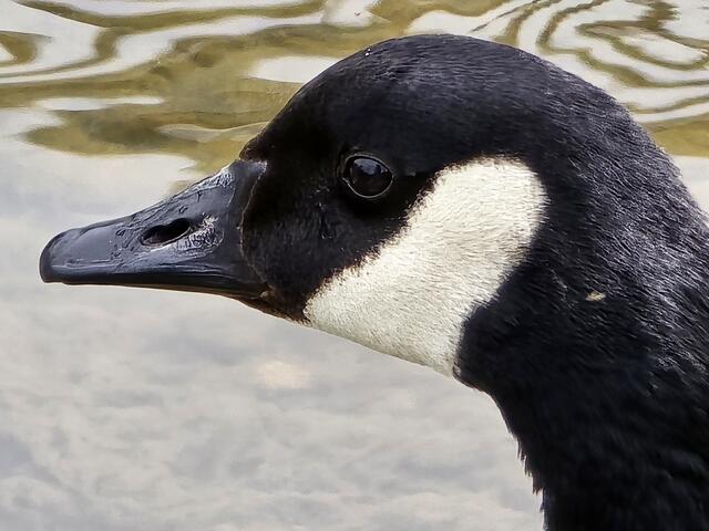 Foto: Heidrun Rosenberger