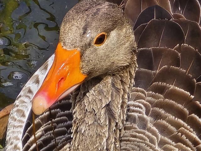 Foto: Heidrun Rosenberger