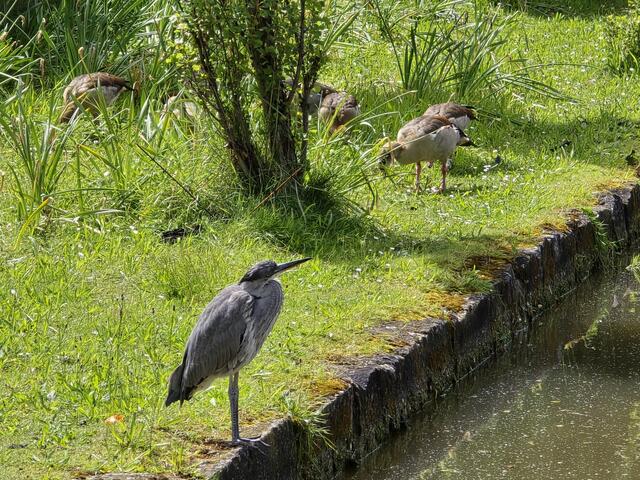 Foto: Heidrun Rosenberger