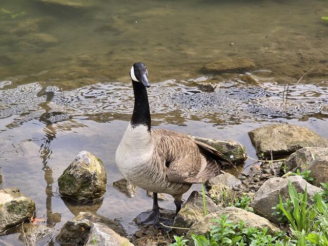 Foto: Heidrun Rosenberger