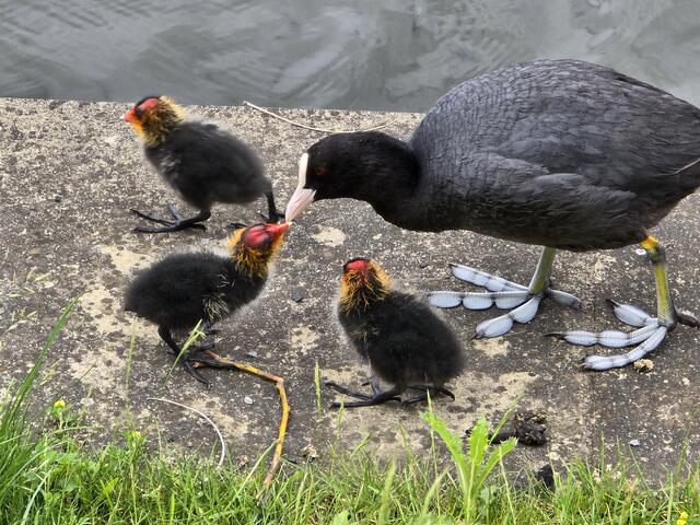 Foto: Heidrun Rosenberger
