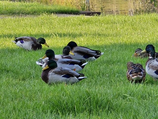 Foto: Heidrun Rosenberger