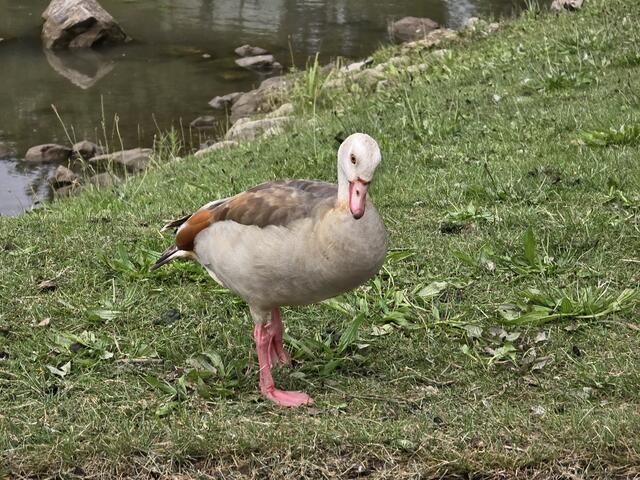 Foto: Heidrun Rosenberger
