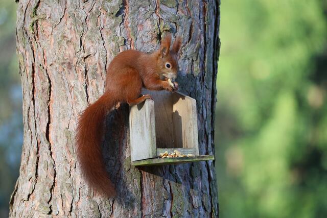 Lecker | Foto: Uschi Dugulin