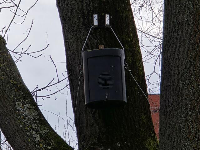 Foto: Heidrun Rosenberger