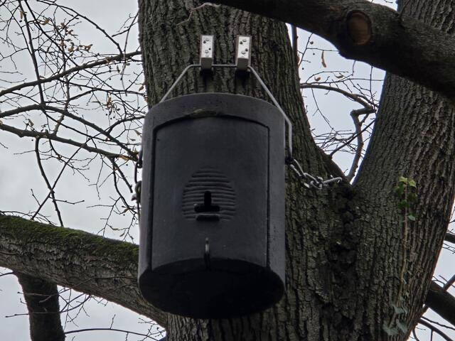 Foto: Heidrun Rosenberger