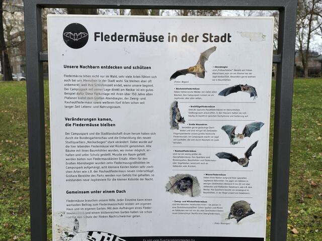 Foto: Heidrun Rosenberger