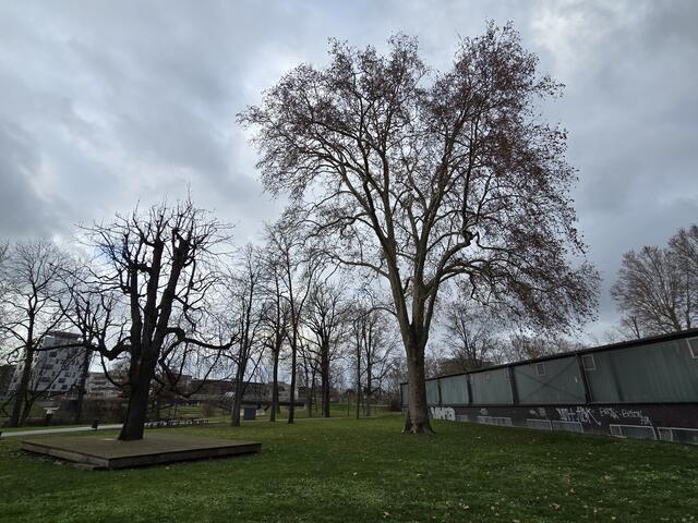Foto: Heidrun Rosenberger