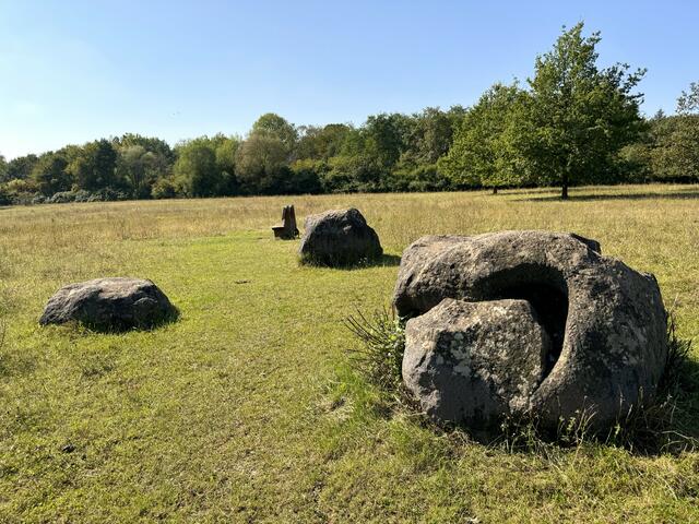 Foto: Heide Böllinger aus Bad Friedrichshall