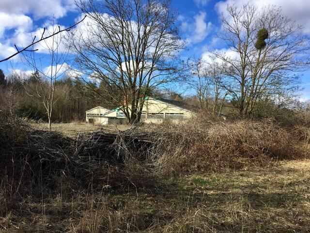 Foto: Heide Böllinger aus Bad Friedrichshall