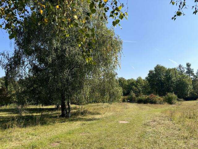Foto: Heide Böllinger aus Bad Friedrichshall