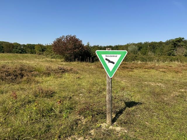 Foto: Heide Böllinger aus Bad Friedrichshall