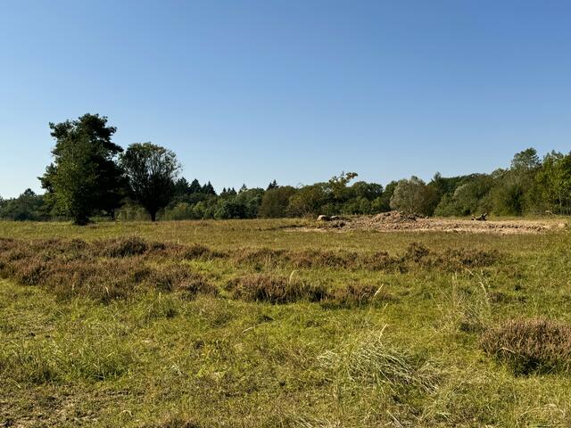 Foto: Heide Böllinger aus Bad Friedrichshall