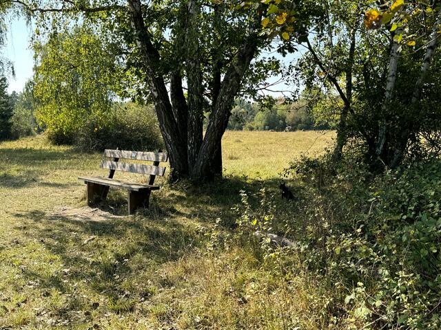 Foto: Heide Böllinger aus Bad Friedrichshall