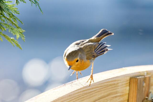 ... und Abflug 😉 | Foto: WKY