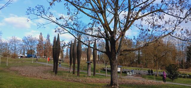 Im Salinenpark ist heute Krämermarkt. Links oben sind die Verkaufsstände zu sehen.   | Foto: sigischlottke