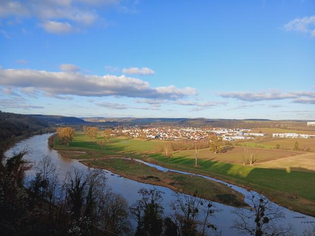 Blick auf den Neckar Richtung Gundelsheim. | Foto: sigischlottke