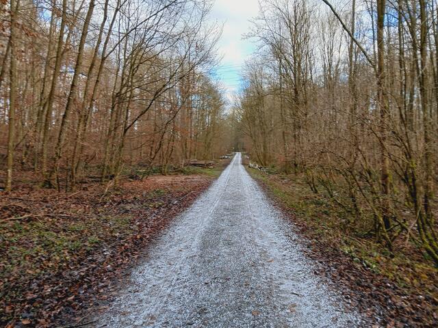 Die Waldwege sind noch etwas schnee-überzuckert. | Foto: sigischlottke