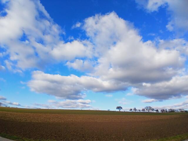Ein paar Bäume und ein paar Menschen sind oben auf der Höhe zu sehen.   | Foto: sigischlottke