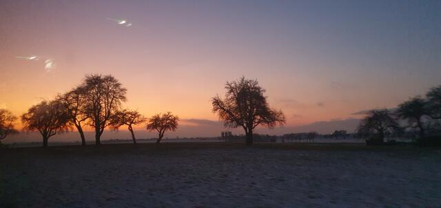 schön anzusehen! | Foto: privat Sibylle Tröber