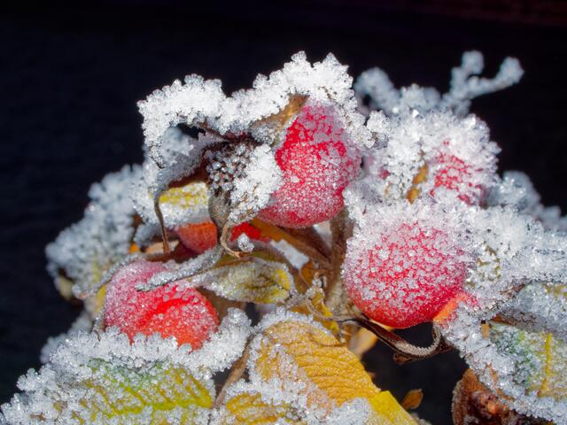 Foto: Eigenes Bild TB