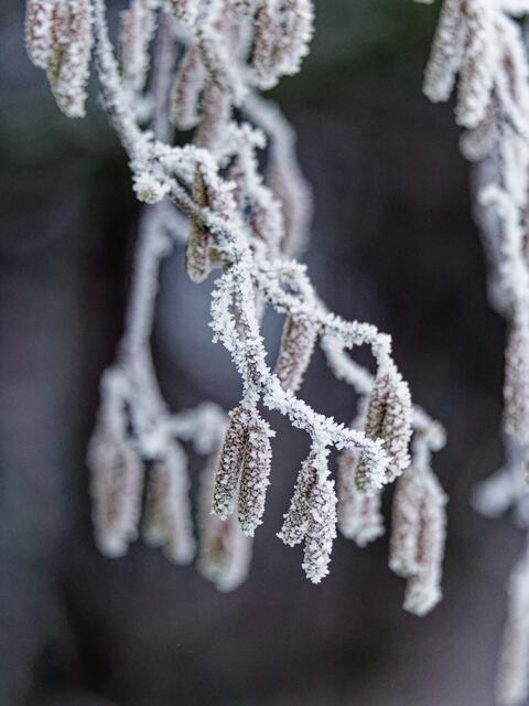 Foto: Eigenes Bild TB