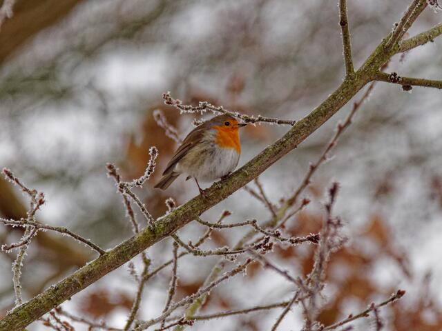 Foto: Eigenes Bild TB