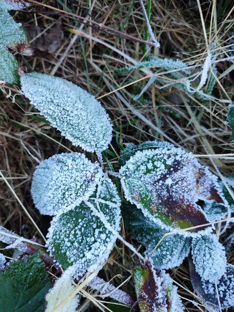 Schatten | Foto: Aurelia Kling