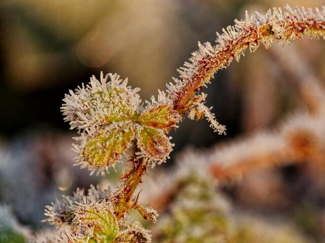 Foto: Eigenes Bild TB