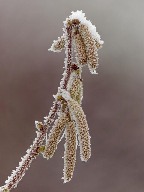 Foto: Eigenes Bild TB