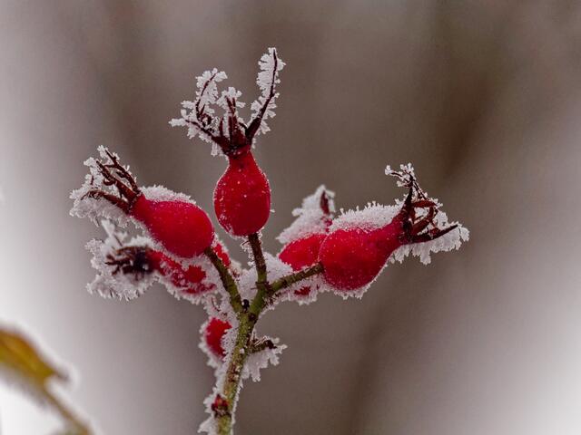 Foto: Eigenes Bild TB