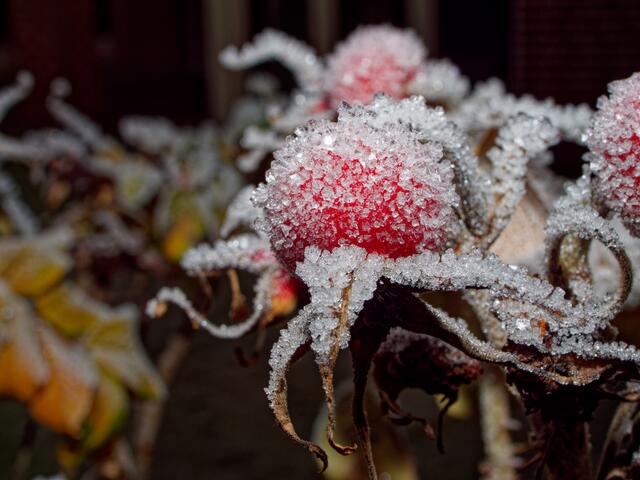 Foto: Eigenes Bild TB