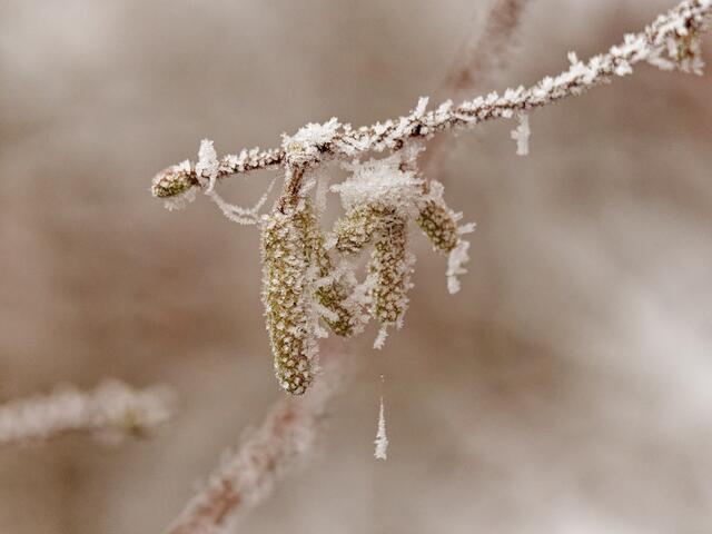 Foto: Eigenes Bild TB