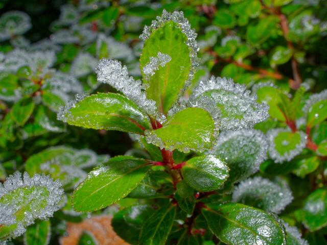 Foto: Eigenes Bild TB