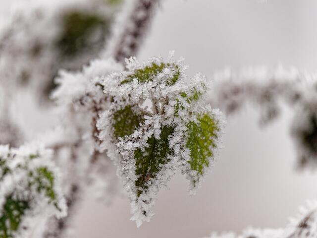 Foto: Eigenes Bild TB