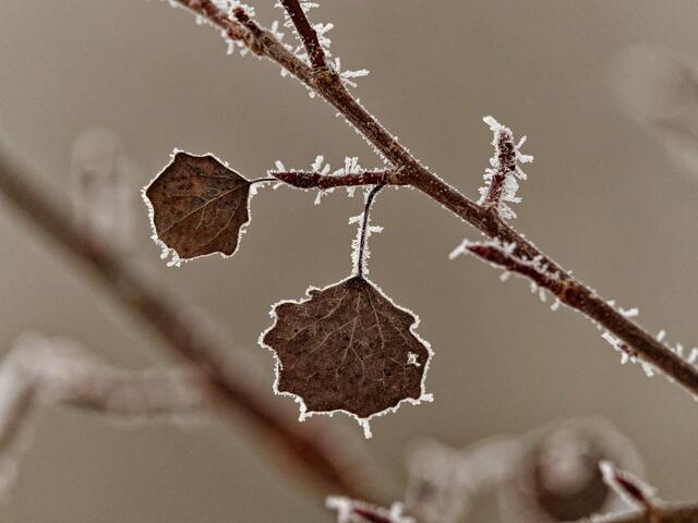 Foto: Eigenes Bild TB