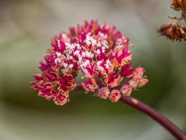 Foto: Eigenes Bild TB