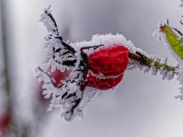 Foto: Eigenes Bild TB