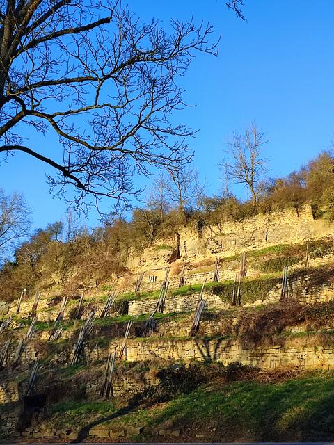 Wintersonne, so blau ist der Himmel im Sommer nicht | Foto: Aurelia Kling