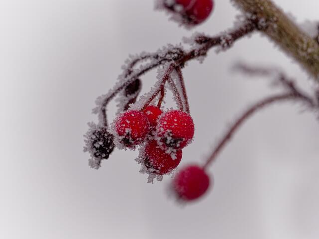 Foto: Eigenes Bild TB