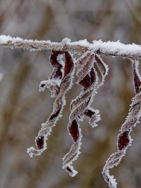 Foto: Eigenes Bild TB