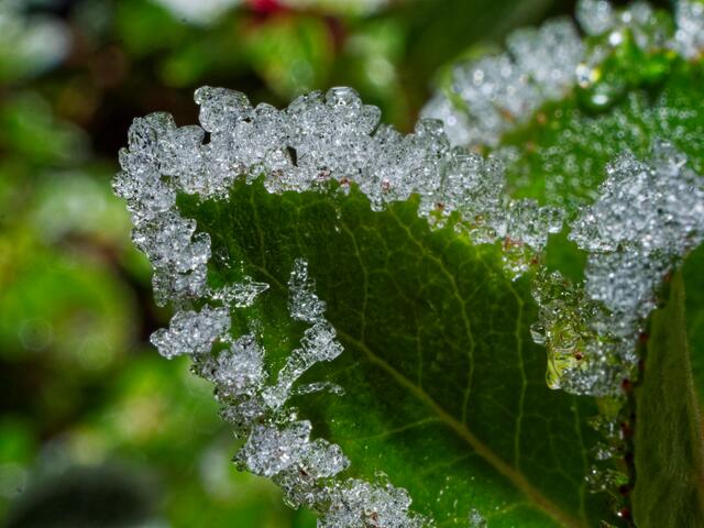 Foto: Eigenes Bild TB