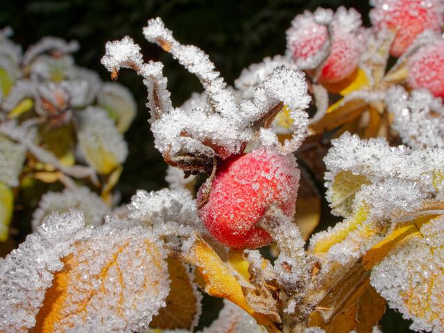 Foto: Eigenes Bild TB