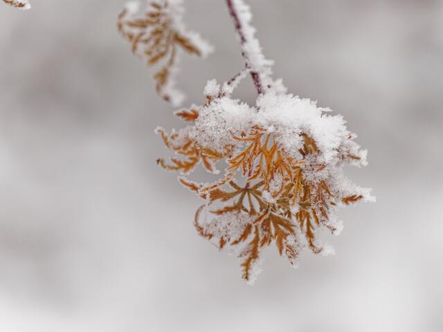 Foto: Eigenes Bild TB